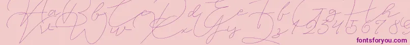 Jet Seat Script-Schriftart – Violette Schriften auf rosa Hintergrund