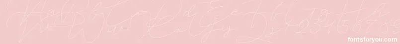 Шрифт Jet Seat Script – белые шрифты на розовом фоне