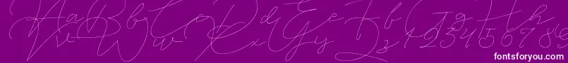 Jet Seat Script Font – White Fonts on Purple Background