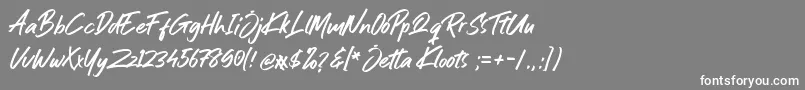 Jetta Kloots Font Font – White Fonts on Gray Background