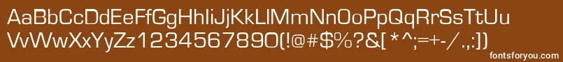 Czcionka Ft2 – białe czcionki na brązowym tle
