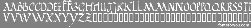 フォントJGJRR    – 灰色の背景に白い文字