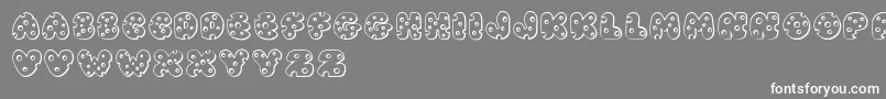 JI Swiss Cheese-Schriftart – Weiße Schriften auf grauem Hintergrund