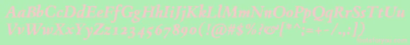 JMH Espinosa BoldItalic Font – Pink Fonts on Green Background