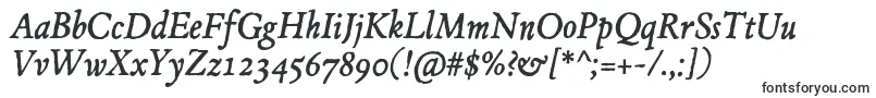 JMH Espinosa Italic-fontti – Fontit Microsoft Excelille