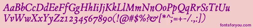 JMH Espinosa Italic Font – Purple Fonts on Pink Background