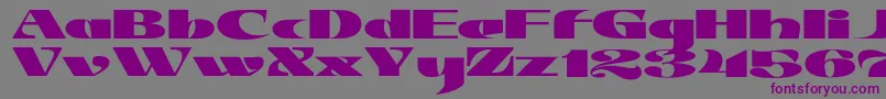 フォントJMH Jezail – 紫色のフォント、灰色の背景