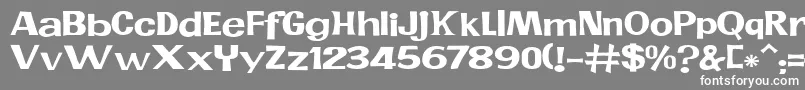 フォントJMH PR EXP – 灰色の背景に白い文字