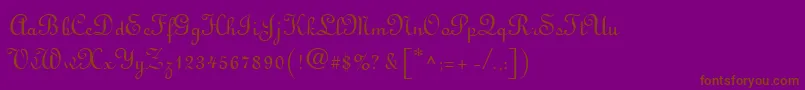 LatriciaRegular Font – Brown Fonts on Purple Background