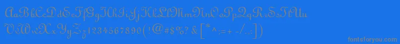 フォントLatriciaRegular – 青い背景に灰色の文字