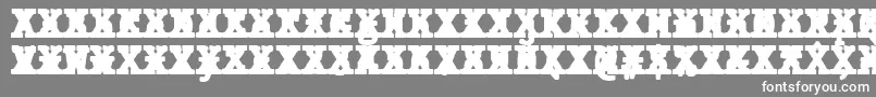Czcionka JMH Typewriter mono Black Cross – białe czcionki na szarym tle