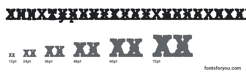 Размеры шрифта JMH Typewriter mono Black Cross