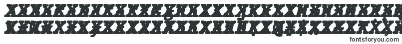 Шрифт JMH Typewriter mono Black Italic Cross – шрифты для Adobe Indesign