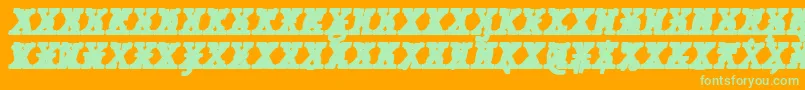 JMH Typewriter mono Black Italic Cross Font – Green Fonts on Orange Background