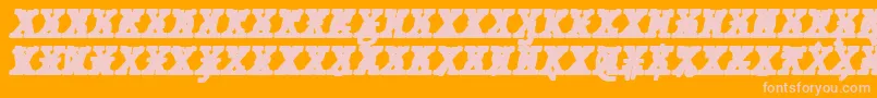 JMH Typewriter mono Black Italic Cross Font – Pink Fonts on Orange Background