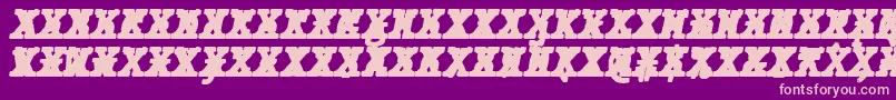 JMH Typewriter mono Black Italic Cross Font – Pink Fonts on Purple Background