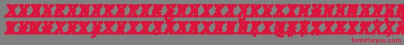 Шрифт JMH Typewriter mono Black Italic Cross – красные шрифты на сером фоне