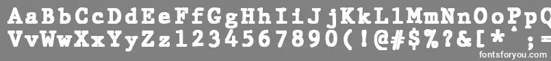 JMH Typewriter mono Black Font – White Fonts on Gray Background