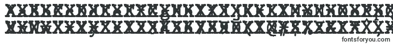 Czcionka JMH Typewriter mono Bold Cross – wyciągnięte czcionki