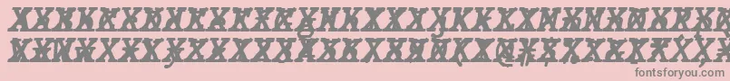 フォントJMH Typewriter mono Bold Italic Cross – ピンクの背景に灰色の文字