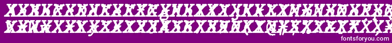 Шрифт JMH Typewriter mono Bold Italic Cross – белые шрифты на фиолетовом фоне