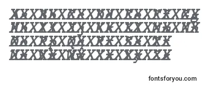 Czcionka JMH Typewriter mono Bold Italic Cross