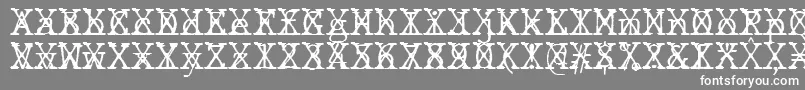 フォントJMH Typewriter mono Fine Cross – 灰色の背景に白い文字