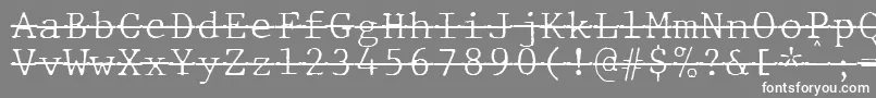 JMH Typewriter mono Fine Over Font – White Fonts on Gray Background