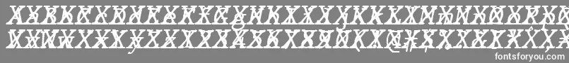 フォントJMH Typewriter mono Italic Cross – 灰色の背景に白い文字