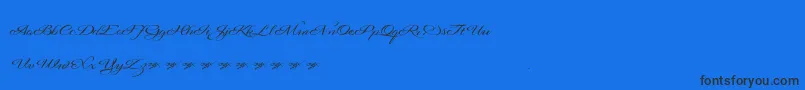 Signaritaannedemo-Schriftart – Schwarze Schriften auf blauem Hintergrund