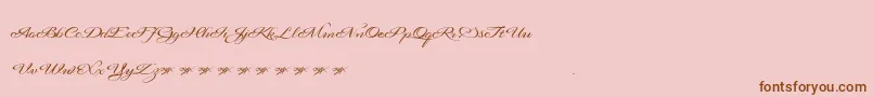 Signaritaannedemo-Schriftart – Braune Schriften auf rosa Hintergrund