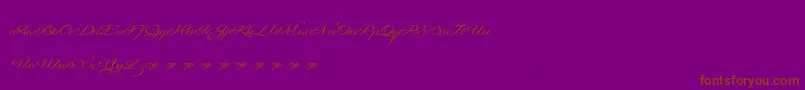 Signaritaannedemo-Schriftart – Braune Schriften auf violettem Hintergrund