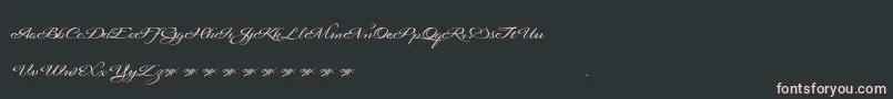 Signaritaannedemo Font – Pink Fonts on Black Background