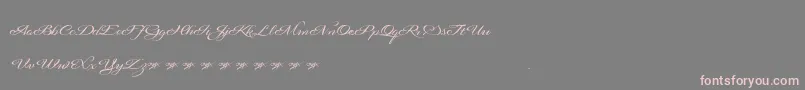 Signaritaannedemo Font – Pink Fonts on Gray Background