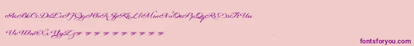 Signaritaannedemo Font – Purple Fonts on Pink Background