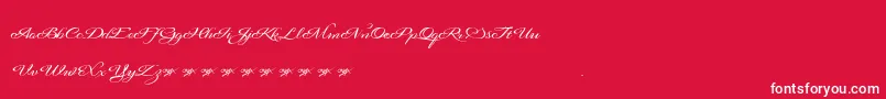 Signaritaannedemo Font – White Fonts on Red Background