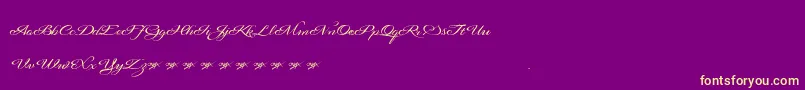 Signaritaannedemo-Schriftart – Gelbe Schriften auf violettem Hintergrund