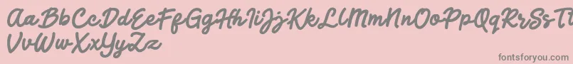 Jocky Starline-Schriftart – Graue Schriften auf rosa Hintergrund