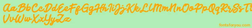 Jocky Starline Font – Orange Fonts on Green Background