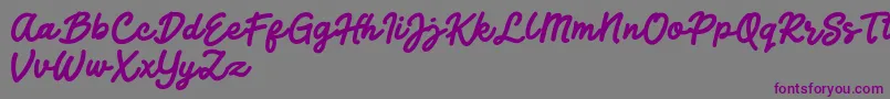 フォントJocky Starline – 紫色のフォント、灰色の背景
