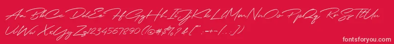 Jodie Badiston Script Demo Font – Pink Fonts on Red Background
