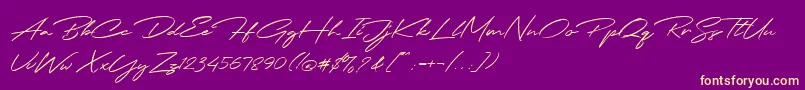 Jodie Badiston Script Demo-Schriftart – Gelbe Schriften auf violettem Hintergrund