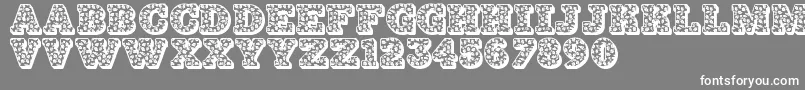 Jfholdaz Font – White Fonts on Gray Background