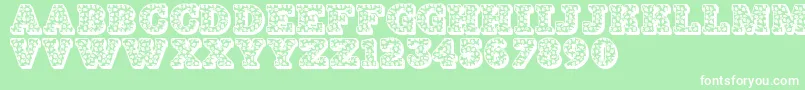 Jfholdaz Font – White Fonts on Green Background