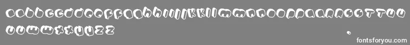 Johanneke Pro mixed Font – White Fonts on Gray Background