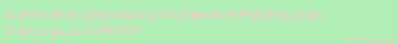 John Bold Font – Pink Fonts on Green Background