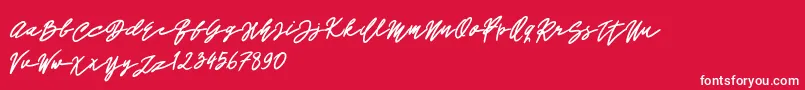 John Bold Font – White Fonts on Red Background