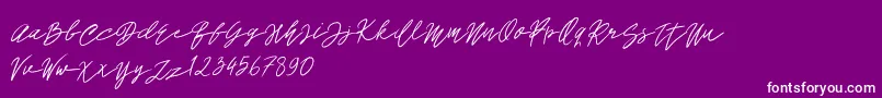 John Bulgarry-Schriftart – Weiße Schriften auf violettem Hintergrund