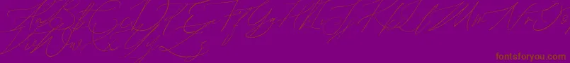 John Davidson Demo-Schriftart – Braune Schriften auf violettem Hintergrund