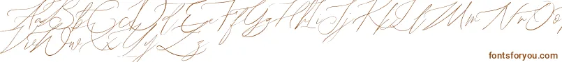 Шрифт John Davidson Demo – коричневые шрифты на белом фоне